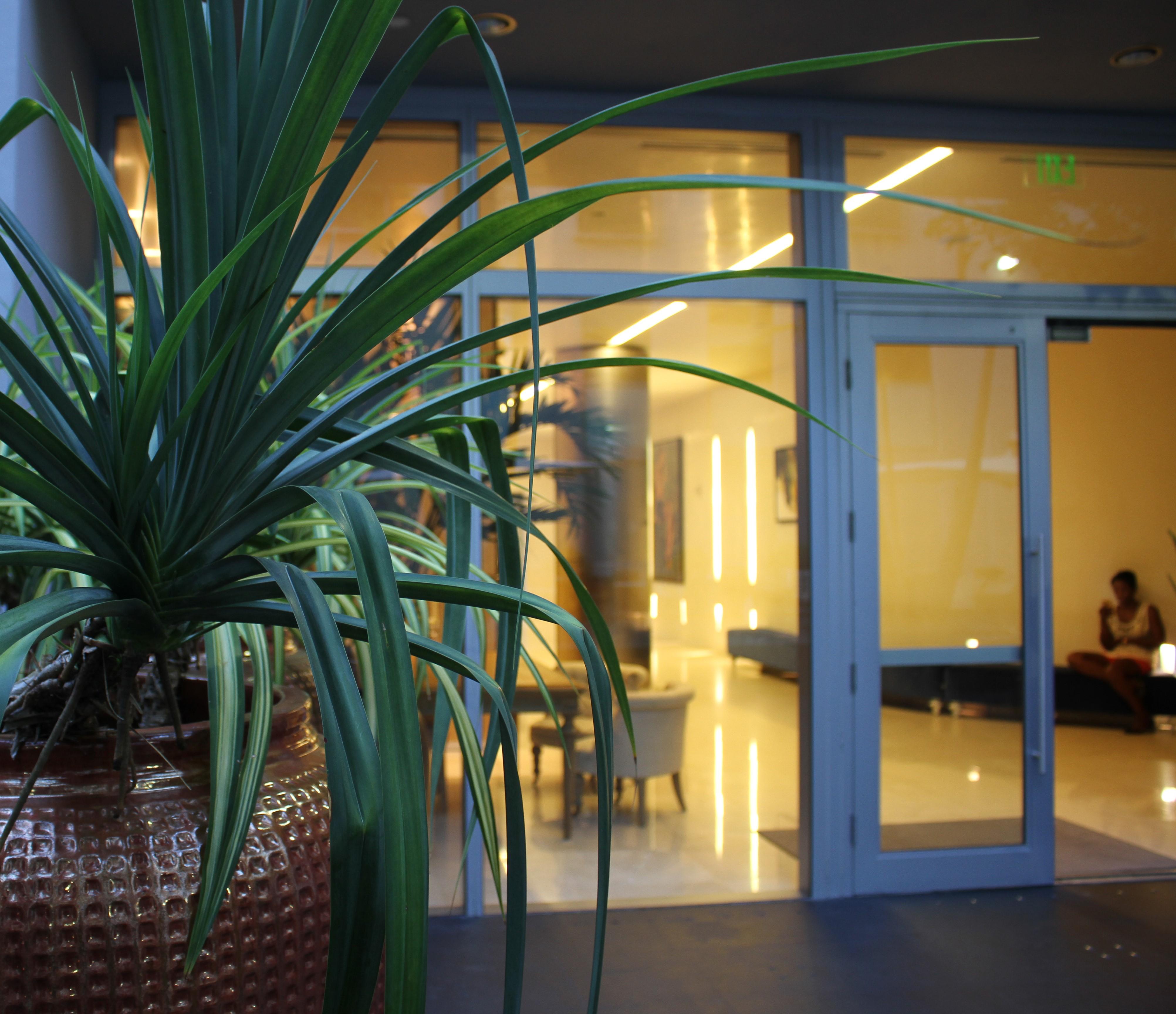Boulan South Beach Miami Beach Ngoại thất bức ảnh